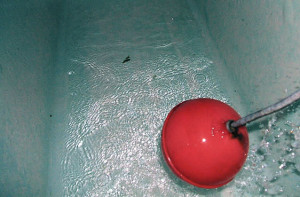 water tank cleaning service dubai